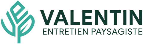 VEP – Valentin Entretien Paysagiste